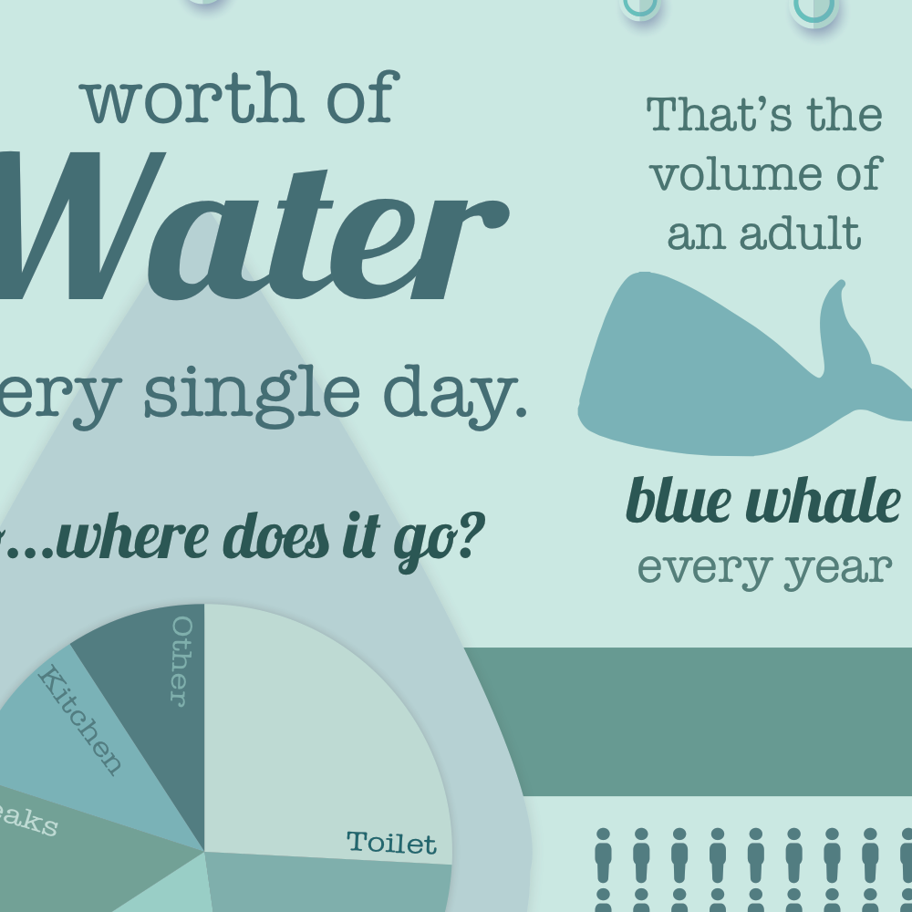 Water Infographic